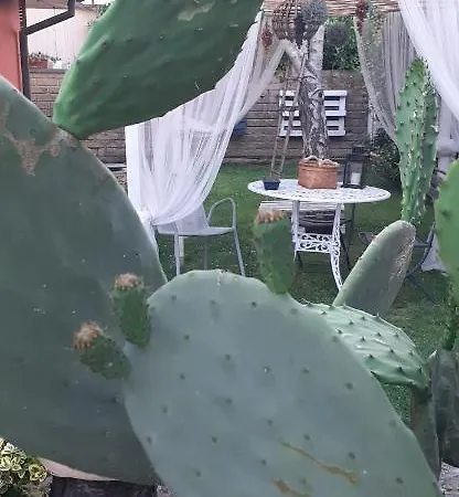 Alice's By Casolare Isabella Ponsacco