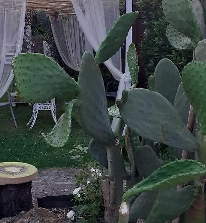 Alice's By Casolare Isabella