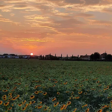 Alice's By Casolare Isabella Ξενοδοχείο *