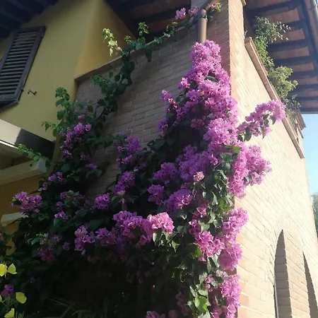 Alice's By Casolare Isabella * Ponsacco