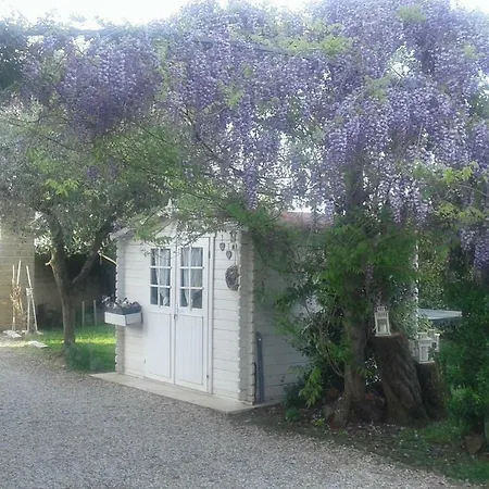 Alice's By Casolare Isabella