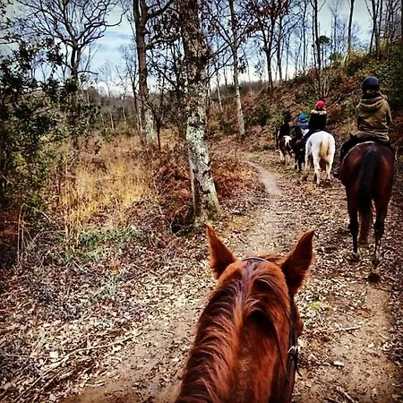 Alice's By Casolare Isabella Ξενοδοχείο *