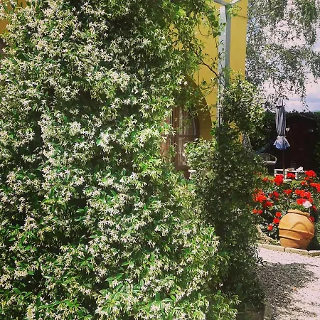 Ξενοδοχείο Alice's By Casolare Isabella Ponsacco